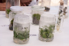 12_science_fest_kristyna.jpg
